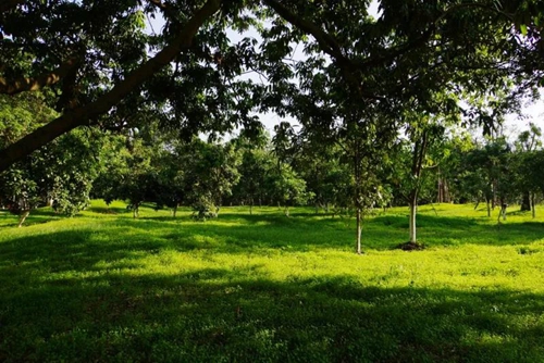 绿水青山&nbsp;金山银山！泸州获800多万激励资金(图5)