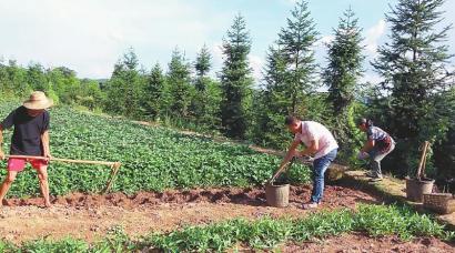 现实版“桃花源”&nbsp;纳溪农民拍乡村视频成网红(图2)