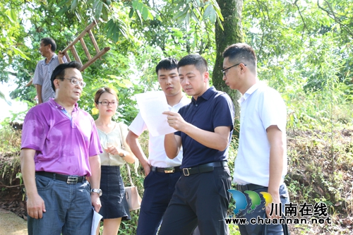 拍摄宣传视频&nbsp;泸县县长肖刚为泸县龙眼代言(图1)