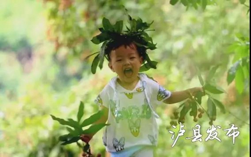 泸县龙眼成“网红”了&nbsp;快来这里购买尝鲜！(图6)