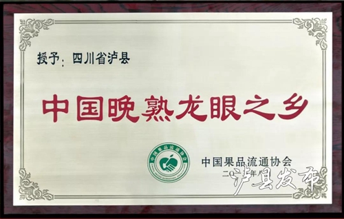 泸县龙眼成“网红”了&nbsp;快来这里购买尝鲜！(图10)