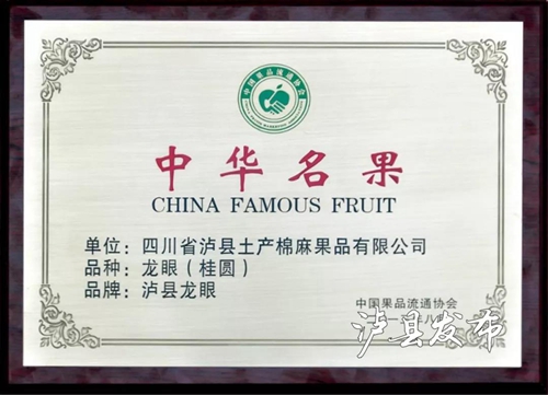 泸县龙眼成“网红”了&nbsp;快来这里购买尝鲜！(图8)