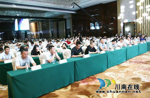 阳光大地集团泸州品牌发布会在巨洋璀璨绽放(图5)