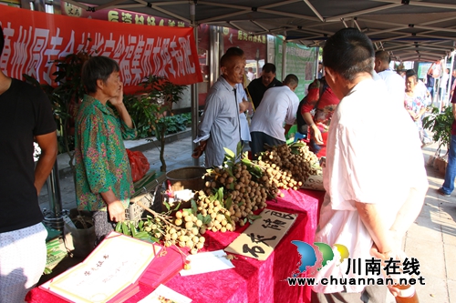 绿海潮河·龙眼飘香 泸县潮河举行第七届龙眼节(图6) 绿海潮河·龙眼飘香 泸县潮河举行第七届龙眼节(图6)