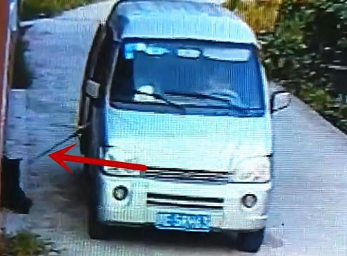 两重庆人到合江盗狗上百只&nbsp;冲闯红灯被抓获(图1)