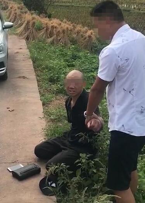 两重庆人到合江盗狗上百只&nbsp;冲闯红灯被抓获(图2)