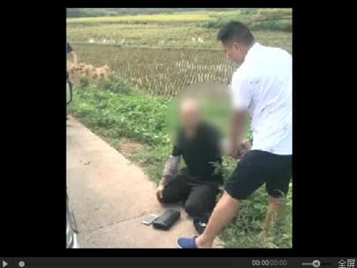 两重庆人到合江盗狗上百只&nbsp;冲闯红灯被抓获(图7)