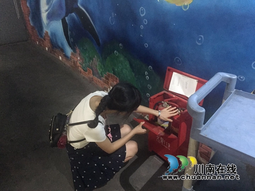 江阳区华阳街道竹苑社区扎实开展安全大检查(图2) 江阳区华阳街道竹苑社区扎实开展安全大检查(图2)