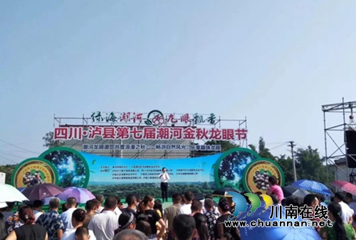 泸州10万斤桂圆滞销 商会零利润爱心助农(图1) 泸州10万斤桂圆滞销 商会零利润爱心助农(图1)