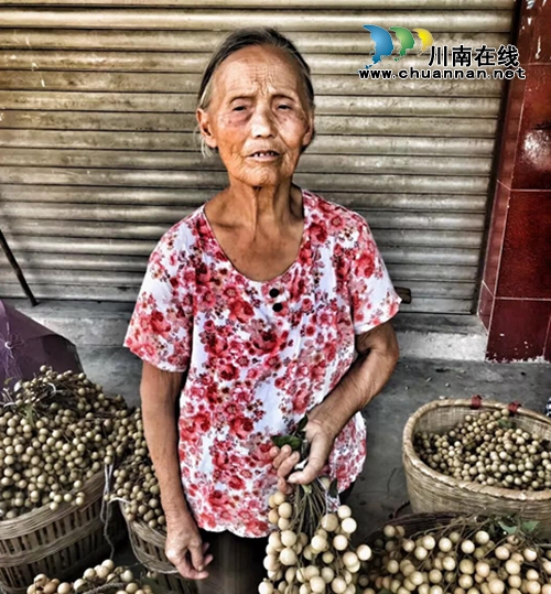 泸州10万斤桂圆滞销 商会零利润爱心助农(图3) 泸州10万斤桂圆滞销 商会零利润爱心助农(图3)