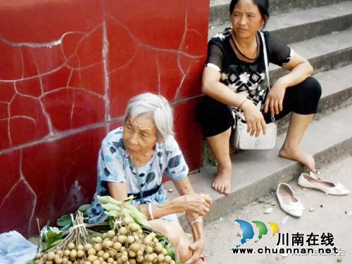 泸州10万斤桂圆滞销 商会零利润爱心助农(图5) 泸州10万斤桂圆滞销 商会零利润爱心助农(图5)