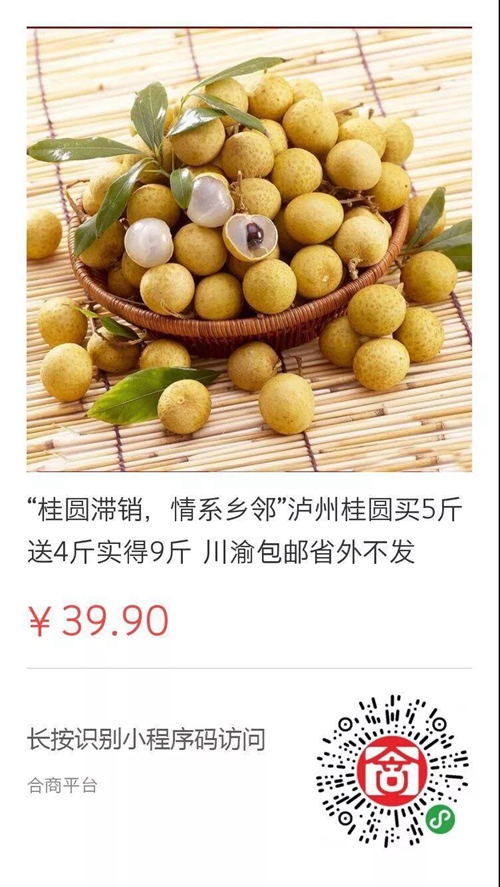 泸州10万斤桂圆滞销 商会零利润爱心助农(图11) 泸州10万斤桂圆滞销 商会零利润爱心助农(图11)