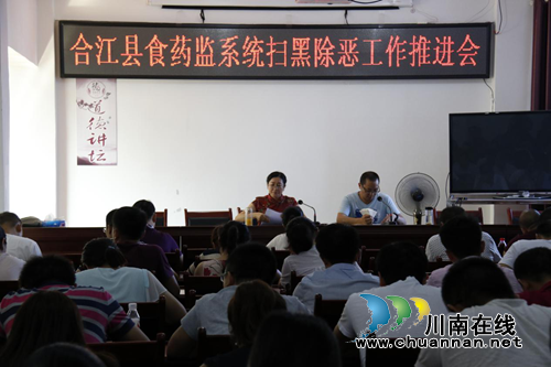 合江县食药监局召开食药监系统扫黑除恶工作推进会(图1)