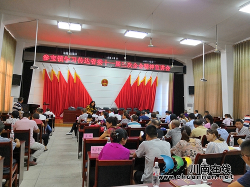 合江县参宝镇积极开展十一届三次全会宣讲活动(图1)