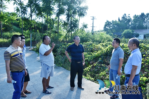 刘吉斌率队到宜宾大观镇开展市委五届六次全会精神宣讲和督导贯彻落实工作(图2)