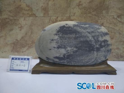 一块石头13万&nbsp;泸州长江奇石展卖出上百块石头(图1)