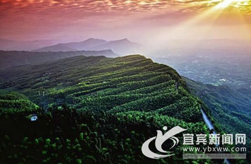 约不？&nbsp;去蜀南竹海看美景品美食&nbsp;拍抖音拿大奖(图1)