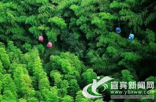 约不？&nbsp;去蜀南竹海看美景品美食&nbsp;拍抖音拿大奖(图2)