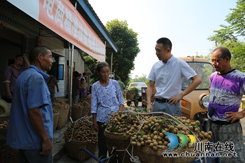 泸县海潮镇多措并举破解桂圆销路(图4)