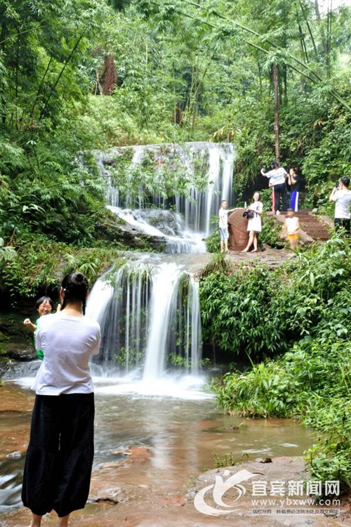 深挖“文化+旅游”&nbsp;宜宾蜀南竹海打造旅游新IP(图3)