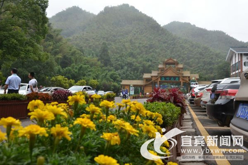 深挖“文化+旅游”&nbsp;宜宾蜀南竹海打造旅游新IP(图4)