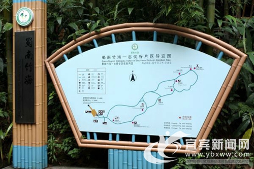 深挖“文化+旅游”&nbsp;宜宾蜀南竹海打造旅游新IP(图5)