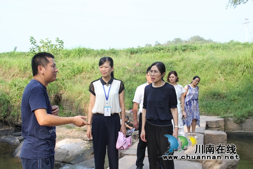 泸县副县长杨开春到云龙督查河长制工作开展情况(图1)