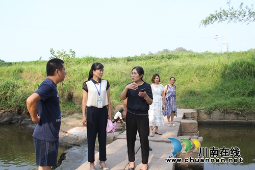 泸县副县长杨开春到云龙督查河长制工作开展情况(图3)