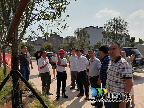 周昌海率队调研合江临港工业园区在建项目(图1)