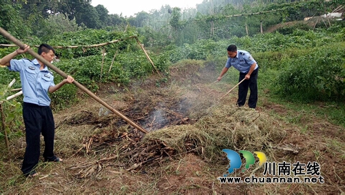 江阳区张坝街道扎实推进秸秆焚烧工作保护生态环境(图2)