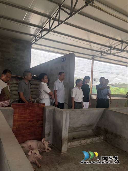 泸县农林局开展脱贫攻坚帮扶工作专项检查督导(图3)