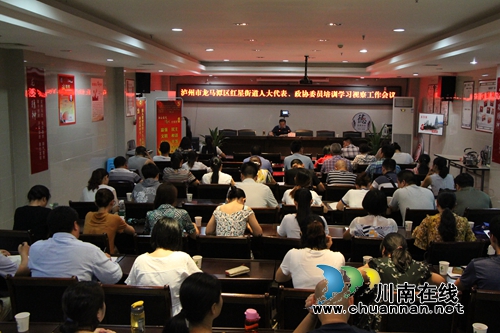 龙马潭区红星街道组织人大代表、政协委员开展培训学习视察工作(图1)