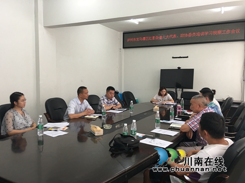 龙马潭区红星街道组织人大代表、政协委员开展培训学习视察工作(图5)