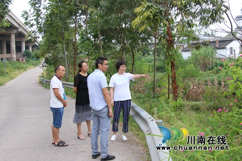 陈佳到泸县潮河镇督查当前重点工作(图2)