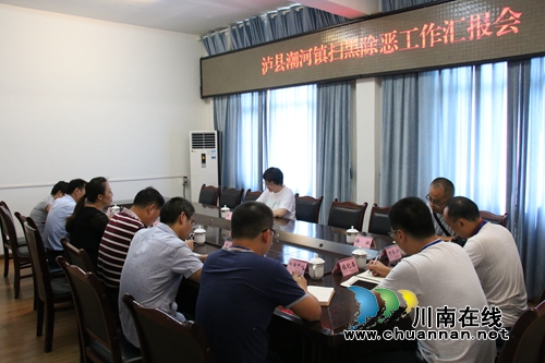 陈佳到泸县潮河镇督查当前重点工作(图3)