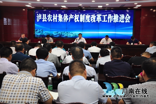 泸县召开农村集体产权制度改革工作推进会(图1)
