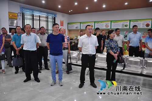 泸县召开农村集体产权制度改革工作推进会(图3)