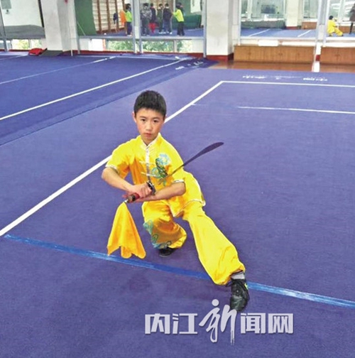 内江市小将杨峰获全国武术学校长拳全能冠军(图1)