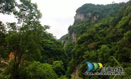 古蔺县护家镇桂香村阳明凹开发合作协议签订(图16)