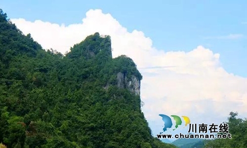 古蔺县护家镇桂香村阳明凹开发合作协议签订(图18)