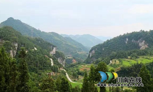 古蔺县护家镇桂香村阳明凹开发合作协议签订(图21)