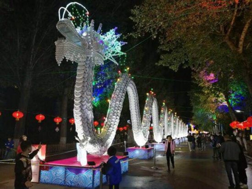 35组大型彩灯作品&nbsp;哈尔滨首届自贡龙灯节启幕(图2)