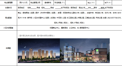 泸州绿地城新盘信息采集表(图5)