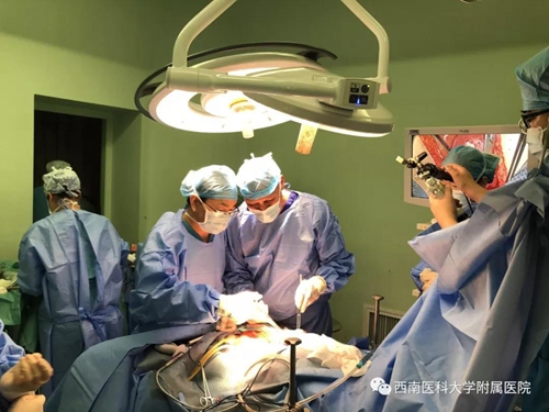 一场横跨亚欧大陆的生死救援(图1)