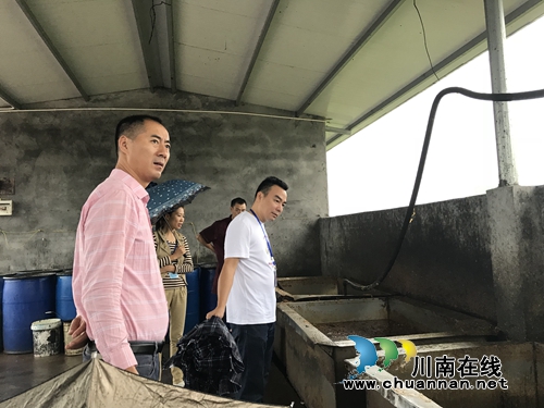 泸县农林局深入开展泔水养猪排查摸底工作(图2)