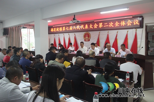 纳溪区棉花坡镇第七届人代会第二次会议胜利召开(图1)
