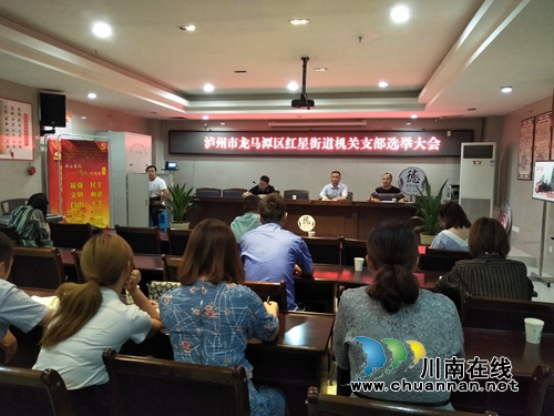 龙马潭区红星街道机关党支部召开换届选举党员大会(图1)
