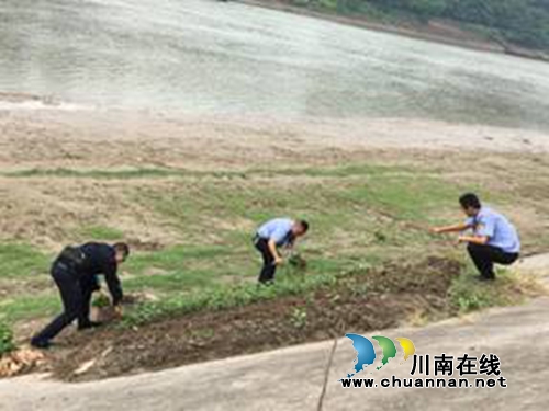龙马潭区红星街道及时遏制沱江外滩地违规种植农作物行为(图1)
