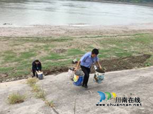 龙马潭区红星街道及时遏制沱江外滩地违规种植农作物行为(图2)