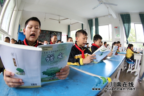 龙马潭区开展第21届全国推广普通话宣传活动(图5)